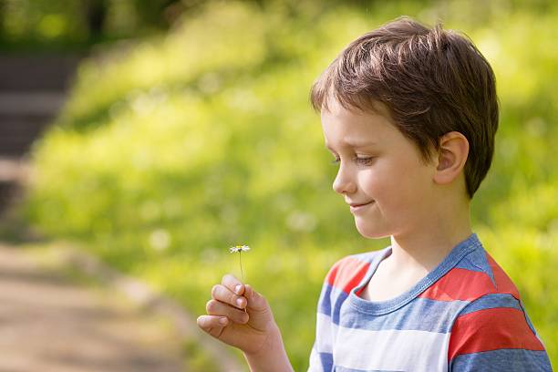 istock Sweet little boy holding a daisy 529415014
