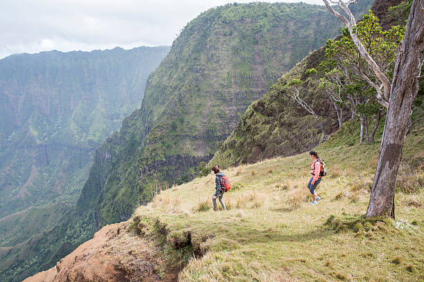 istock Looking Out at the Hawaiian Valley 529415996