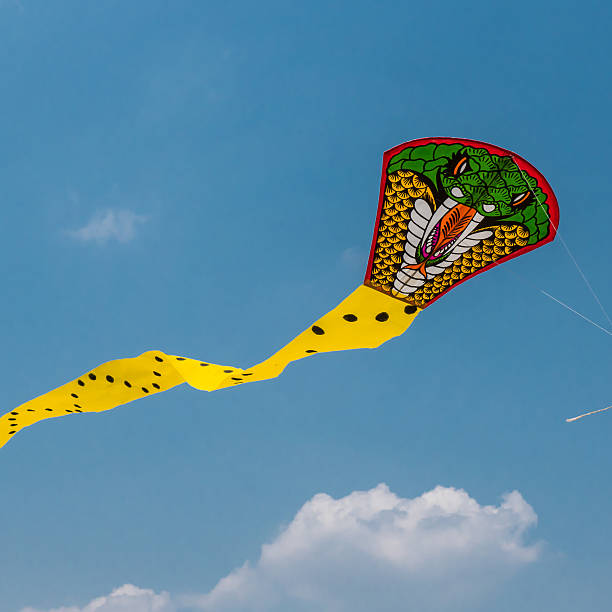 Snake kites stock photo