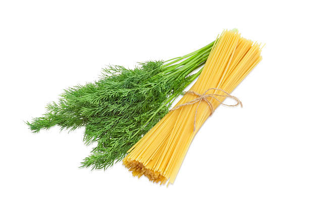 Bundle of uncooked long pasta and bundle of a dill
