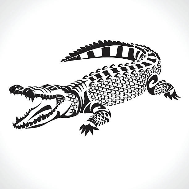 krokodýl - krokodýl krokodýlovití stock ilustrace