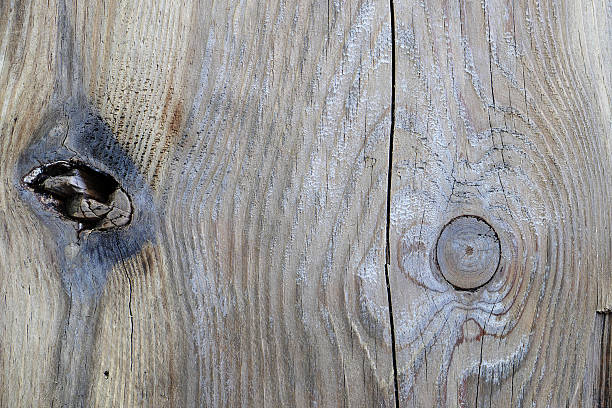 istock background of weathered wood with knotholes 529418569