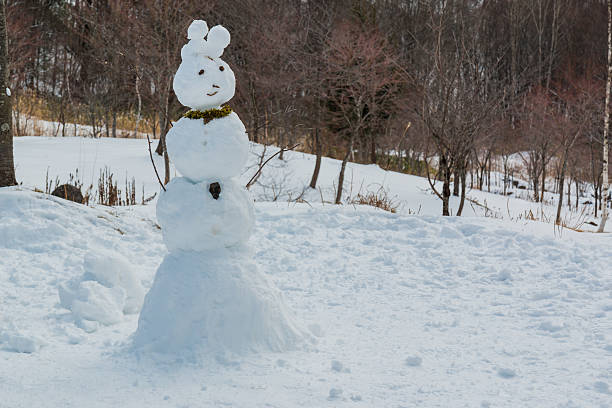 istock Ugly snowman be built from kid. 529419448