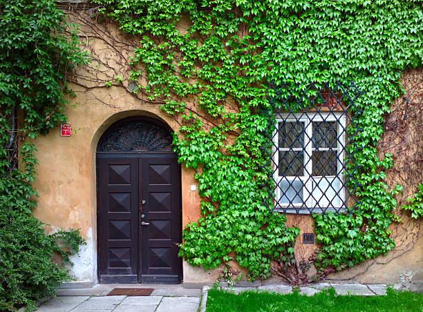 istock Facade of an old building covered by ivy. 529419595