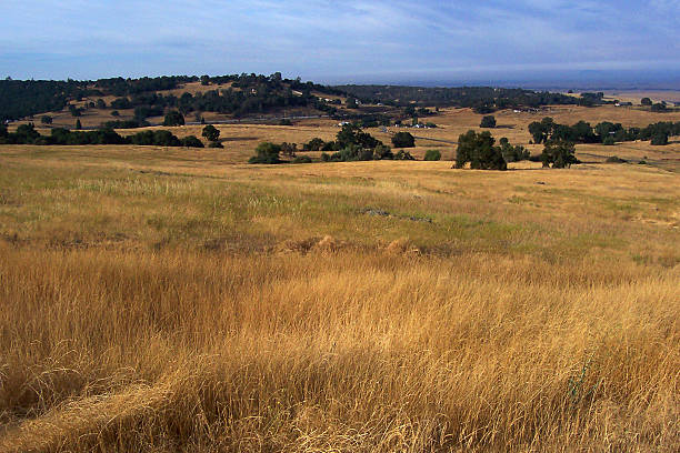 istock El Dorado Hills Landscape 529420159