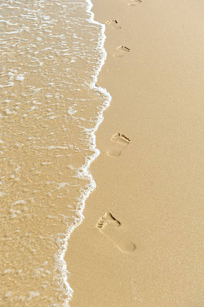 istock Footsteps on the sand of the beach 529421062
