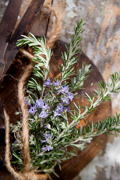 istock Sprigs of rosemary 529421959