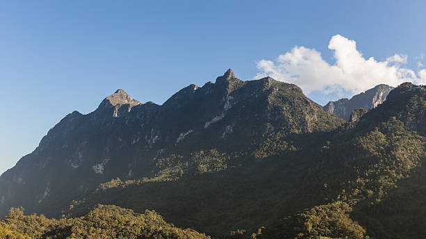 istock Peak of the Mountain 529422177