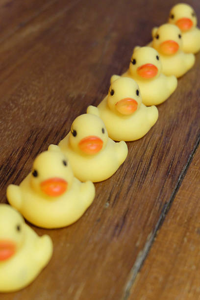 istock group of ducks toy for magazine and card 529422513