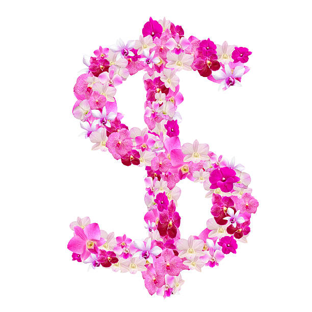 Dollar sign  from orchid flowers isolated on white stock photo