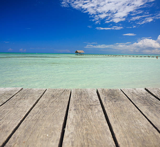 istock Wooden porch on tropical beach 529423412