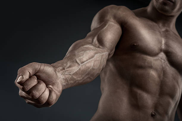 primer plano de salud brazo muscular y torso - human muscle muscular build bicep men fotografías e imágenes de stock