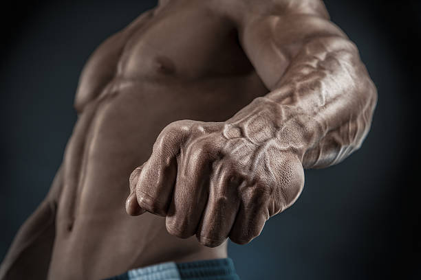 Close-up of athletic muscular arm and torso Handsome muscular bodybuilder demonstrates his fist and vein, blood vessels. Studio shot on black background. fist human hand punching power stock pictures, royalty-free photos & images