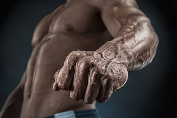 close-up de braços e tronco muscular atletismo - human muscle muscular build bicep men imagens e fotografias de stock