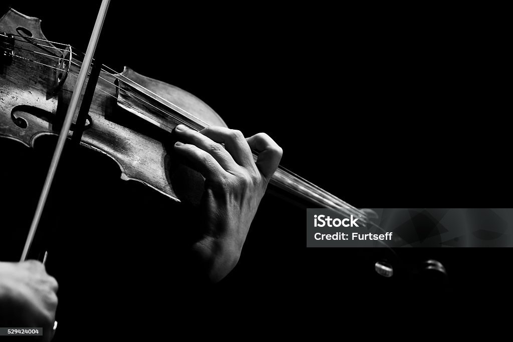 Hands musician playing the violin Hands musician playing the violin in black and white Violinist Stock Photo