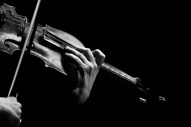 Hands musician playing the violin in black and white