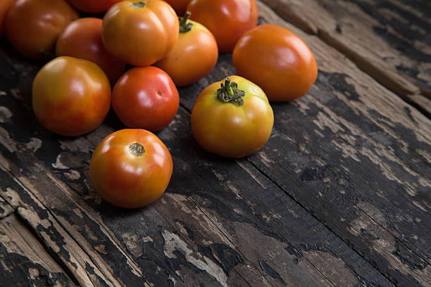 Freshly harvested tomatoes on the wooden table stock photo