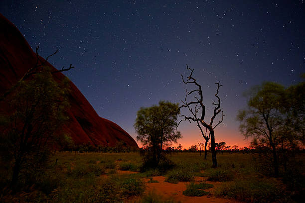 nachthimmel über uluru - australian outback stock-fotos und bilder