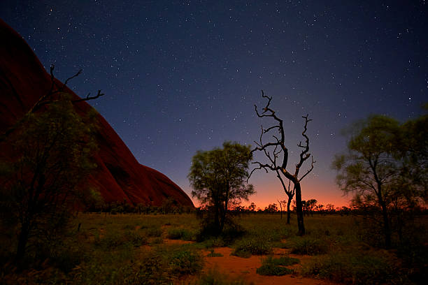 ночное небо над улуру - uluru australia northern territory sunrise стоковые фото и изображения