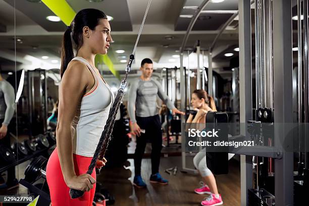 Fitness Woman Workout Strength Training Stock Photo - Download Image Now - Active Lifestyle, Activity, Adult