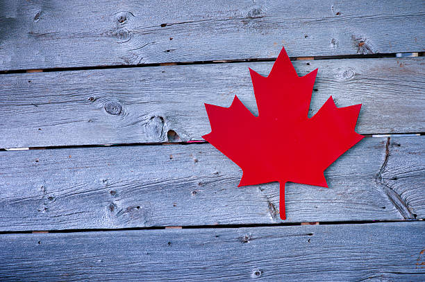 istock Canada grunge wood background with Canadian flag 529428214