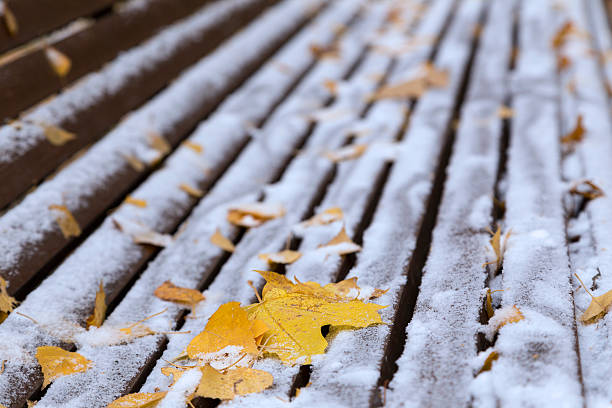 istock Maple Leaves and snow at the bench 529433719