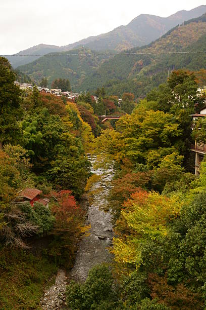 istock Autumn of Lake Okutama 529434765
