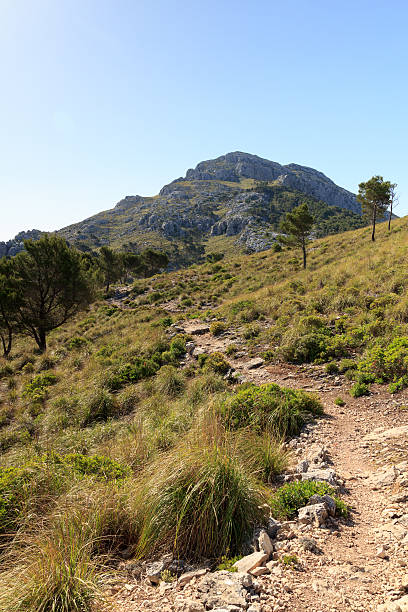 istock Hiking path to the mountain Puig de Galatzo in Majorca 529435699