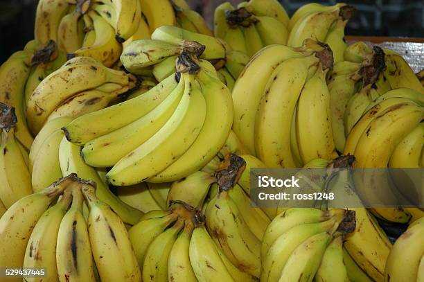 Bananas Stock Photo - Download Image Now - Agriculture, Banana, Bunch
