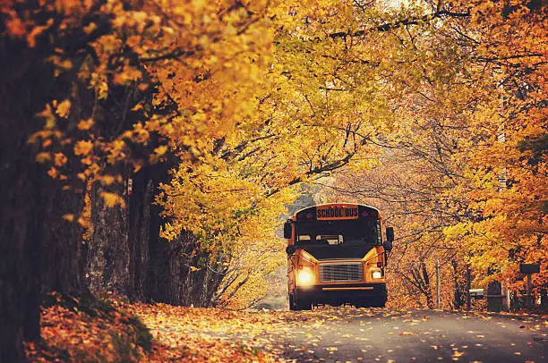 A school bus travels down a rural Nova Scotia road amidst intense Autumn colours.