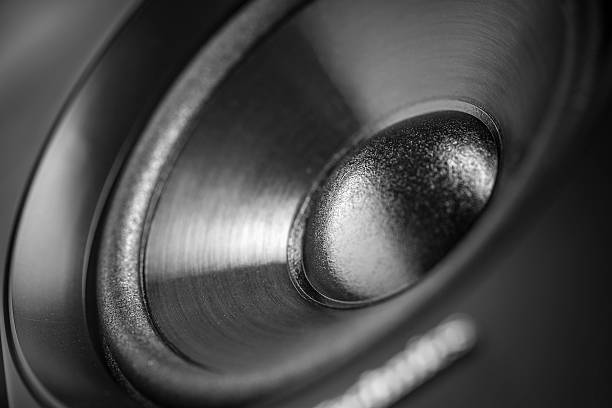 black Bass Speaker membrane close up