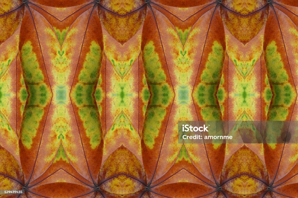 Create from dry leaf.(Pattern and wallpaper concept) Botany Stock Photo