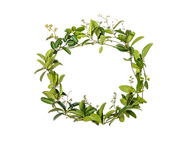 istock wreath of creeper flower 529439671