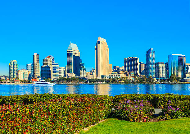 небоскребов сан-диего skyline waterfront и гавань, штат калифорния - san diego bay san diego california skyline waterfront стоковые фото и изображения