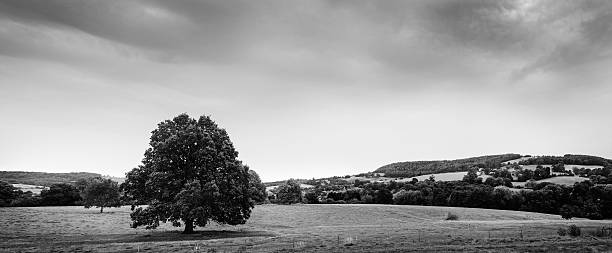istock View of the countryside, England 529456059