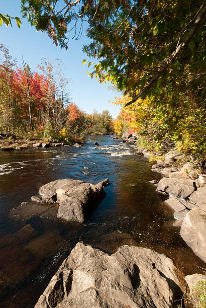 istock Woods, river and Colors in the Fall 529456123
