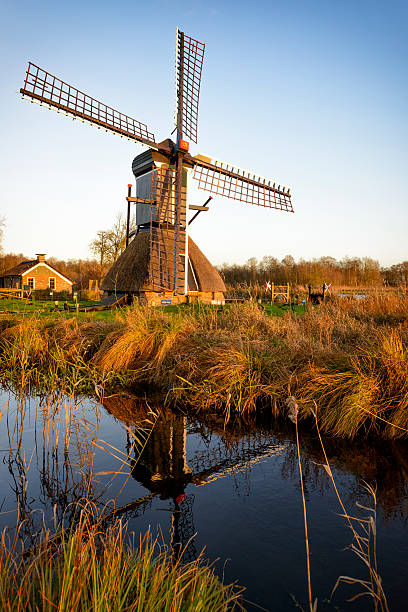 istock Old windmill in the wetlands 529456297