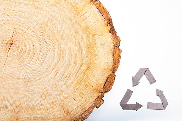 istock Close-up wooden cut and recycle symbol 529457413
