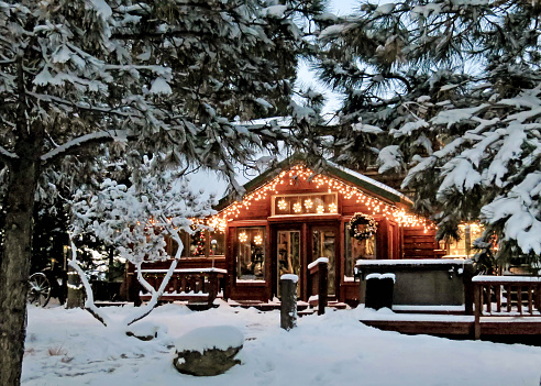 Christmas lights on wooden Colorado mountain country cabin in snow and  pine trees