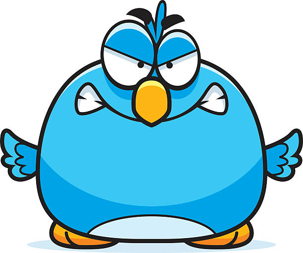 Angry Little Bluebird Stock Illustration - Download Image Now - Anger,  Bluebird - Bird, Displeased - iStock