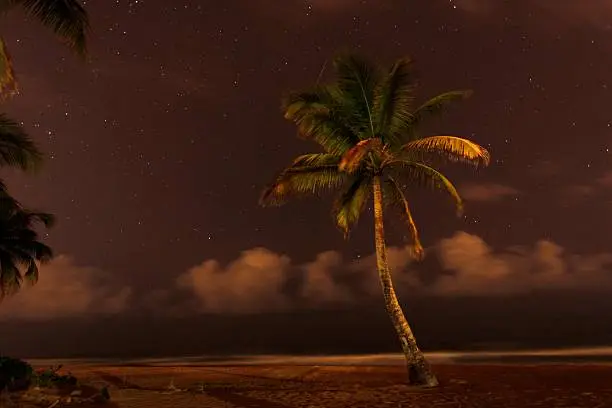 A palm tree on the island of Puerto Rico, in the Caribbean, sits alone on the beach with a starry backdrop and a shooting star. 