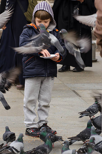 A little girl is feeding pigeons in the square