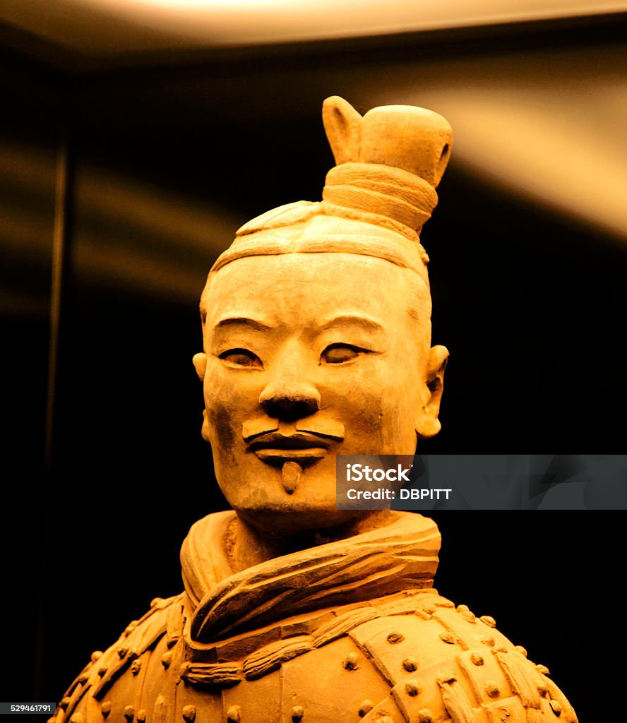 Terra Cotta Warrior Terra Cotta Warrior, Xian China Adult Stock Photo