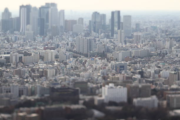 istock Landscape from Tokyo Sunshine60building 529463003