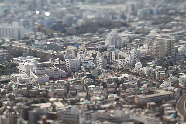 istock Landscape from Tokyo Sunshine60building 529463019