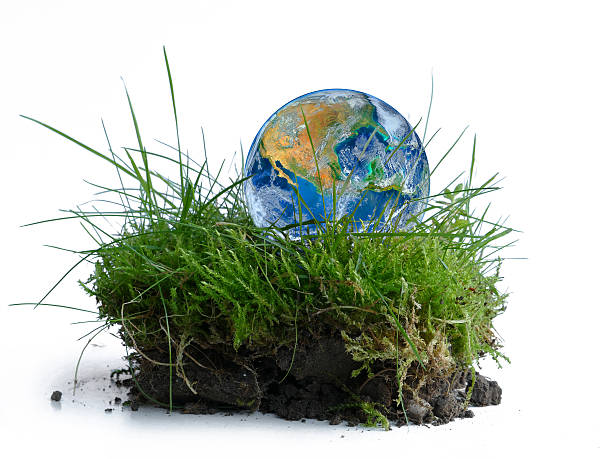 istock earth globe in a piece of green grass, isolated 529476569