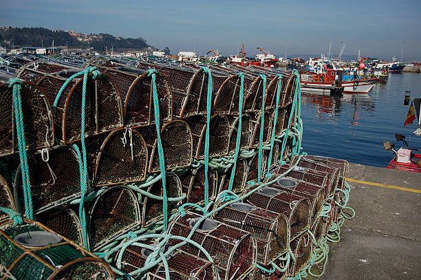 istock Crab traps in the port 529477073