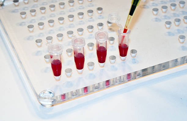 istock In medical laboratories studied blood. 529477517