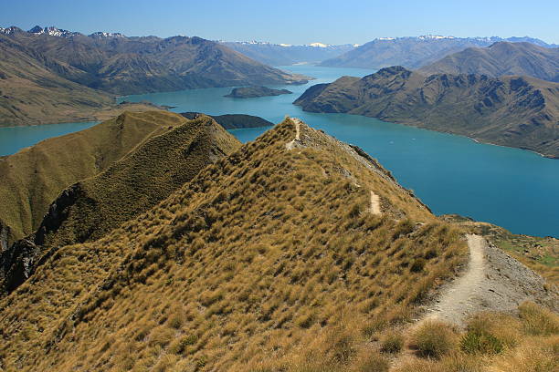 istock lake Wanaka panorama, New Zealand 529478025