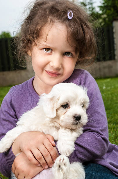 Girl and puppy posing on backyard Portrait of little girl holding her puppy (poodles - coton de tulear) coton de tulear stock pictures, royalty-free photos & images